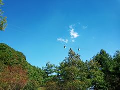 -苍山感通索道