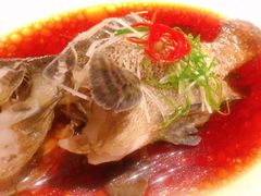 清蒸老虎斑-彩丰楼·中餐厅(国家会展中心上海洲际店)