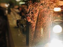 -the rug 飞毯 (朝阳公园店)