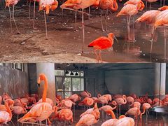 -石家庄市动物园