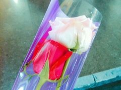 -奥斯卡国际影城(杜比全景声&4D激光店)