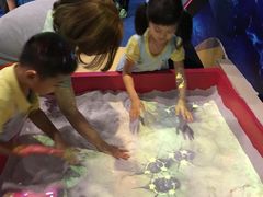 -中国宋庆龄青少年科技文化交流中心