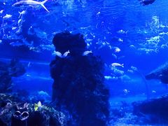 -海合安武汉极地海洋公园