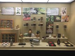 -北京植物园-展览温室