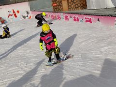 -沈阳奥体冰雪嘉年华