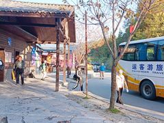 -梭布垭石林景区