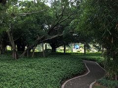 -大嶝英雄三岛战地观光园