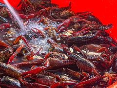 -吉利龙虾·新派海鲜烧烤
