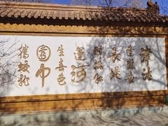-桃花堤公园