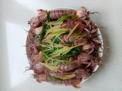 -大班家政月嫂育儿嫂(总部店)
