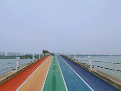 -贡湖湾湿地公园