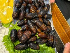 -泰白海鲜烧烤大全