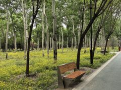 -老君堂公园