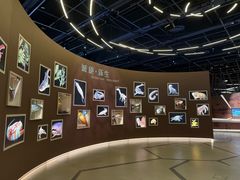 -香港科学馆