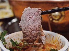 -月圆火锅(宁海东路二店)