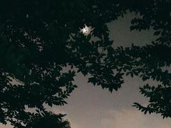 -黄兴公园