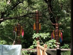 -大青沟风景区