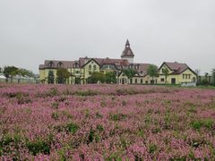 -歌斐颂巧克力小镇