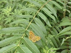 -北京西山国家森林公园