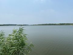 -西青郊野公园
