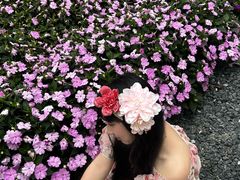 -海心沙亚运公园
