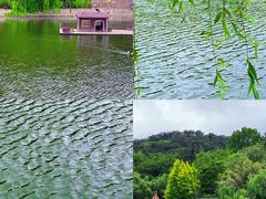 -北岭山森林公园
