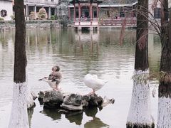 -东莞市可园博物馆