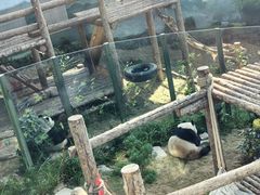 -大连森林动物园