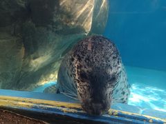 -成都浩海立方海洋公园