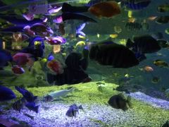 -成都浩海立方海洋公园