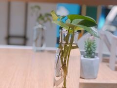 -炖物24章·顺时轻养茶(黄龙店)