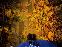 -湘中缘·湖南菜(娄底驻京办店)