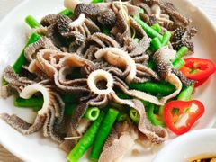 酒糟牛百叶-东山茶寮(新安店)