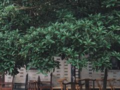 -安仁古镇