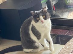 -爱诺耐芙动物医院(万博店)