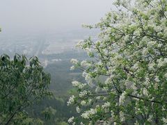-白马涧龙池景区