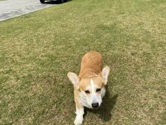 -上海月湖雕塑公园