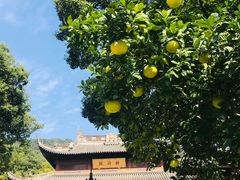 -宝岩生态观光园