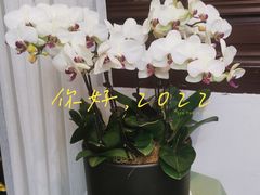 -祝家花園(伯渎港店)