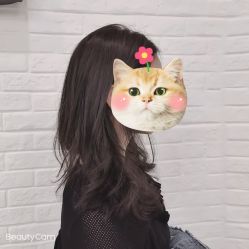 -程Studio