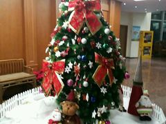 -协和双语学校(虹桥校区)