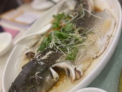 -新金田酒店·宴会厅