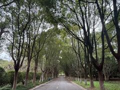 -上海鲜花港