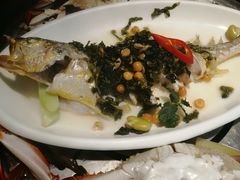 雪菜蒸大黄花鱼-三个渔夫·蒸汽海鲜(小白楼店)