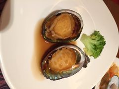 郑州美盛喜来登酒店盛宴标帜餐厅自助餐-美盛喜来登大酒店-盛宴标帜餐厅