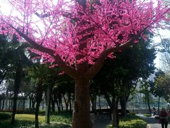 -信和广场(里水分店)