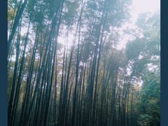 -西湖风景区十里琅珰-五云山