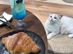 -瞄一喵猫咖(格力海岸店)