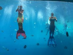 -瑞德姆美人鱼海底演艺主题餐厅(亚龙湾店)