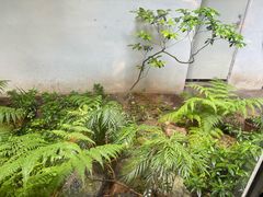 -花迹(富春江东街店)